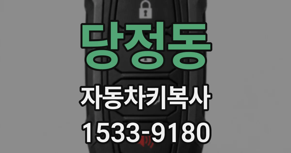 당정동 자동차키복사