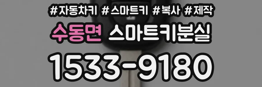 수동면 스마트키분실