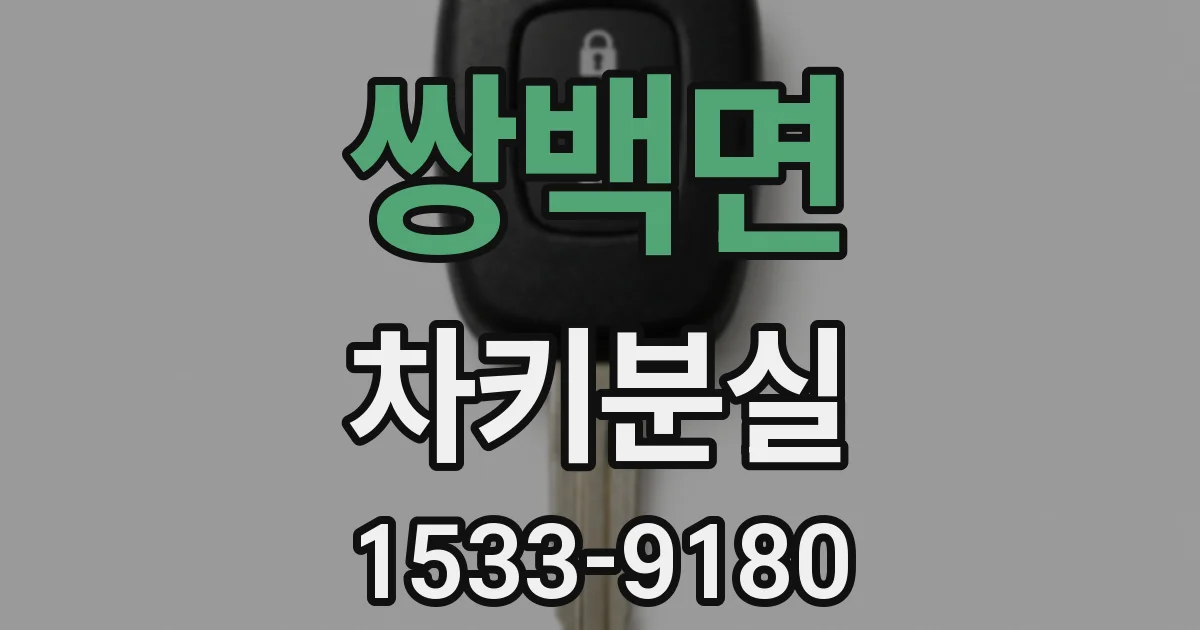 쌍백면 차키분실
