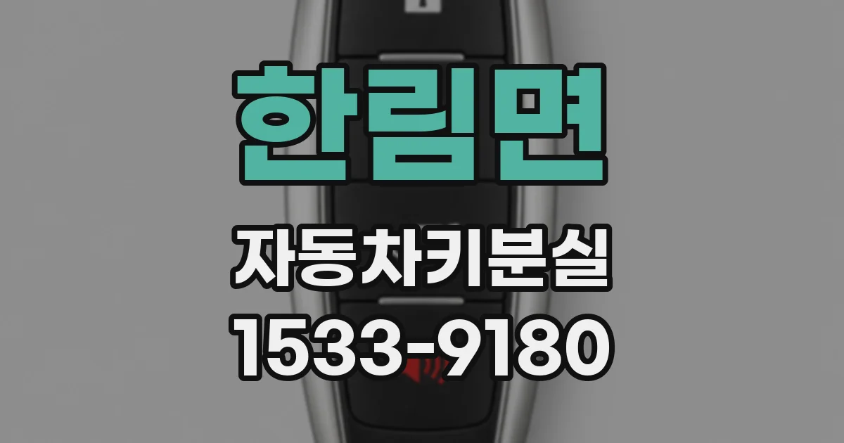 한림면 자동차키분실
