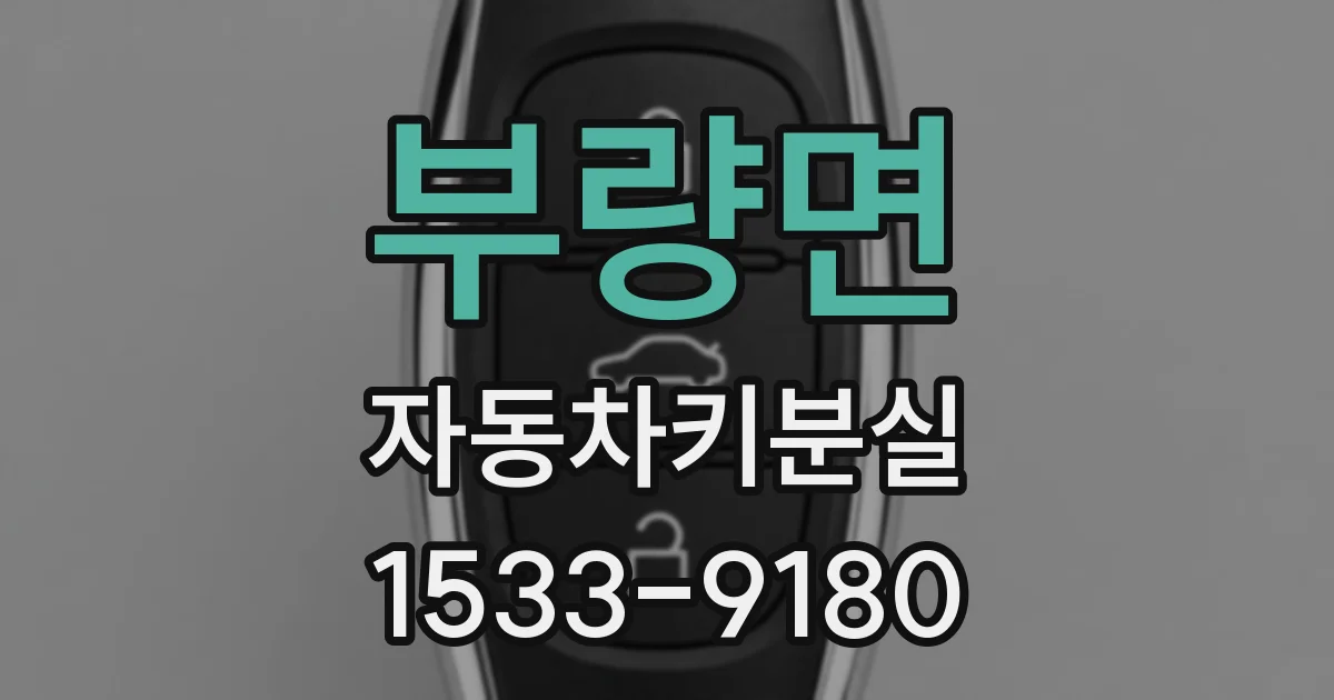 부량면 자동차키분실