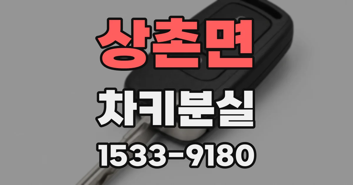 상촌면 차키분실