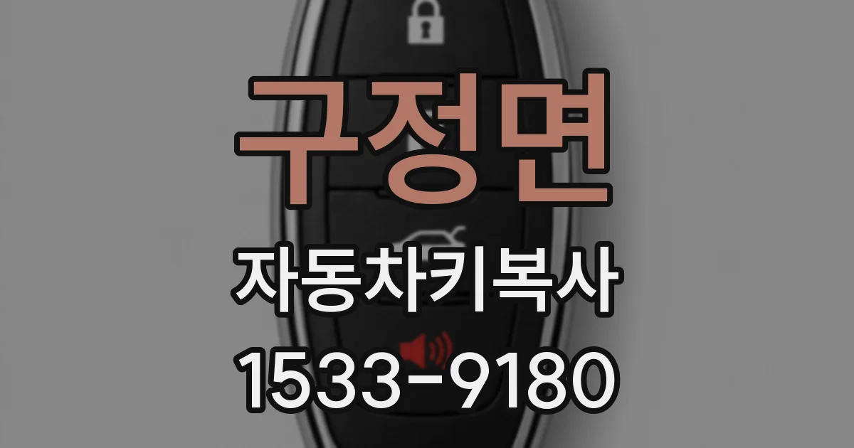 구정면 자동차키복사