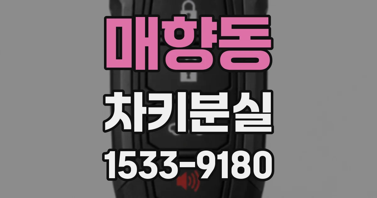 매향동 차키분실