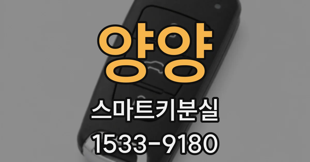 양양 스마트키분실