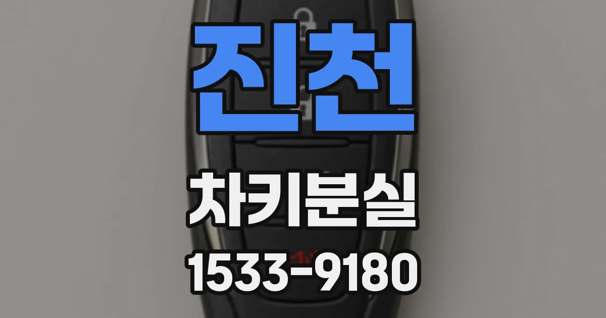 진천 차키분실