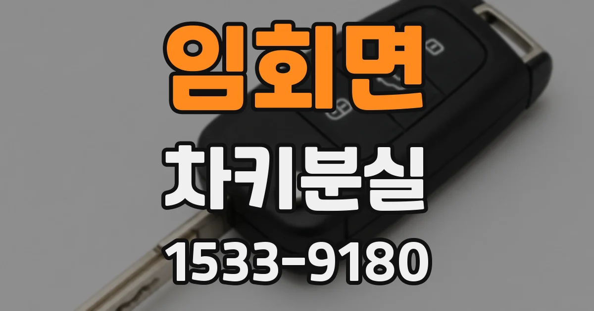 임회면 차키분실