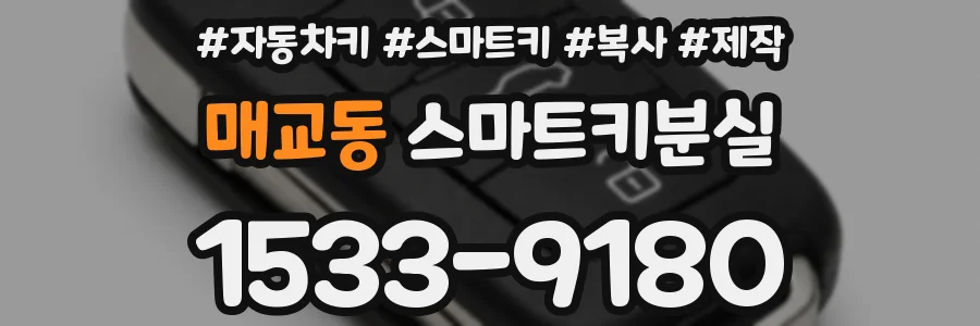 매교동 스마트키분실
