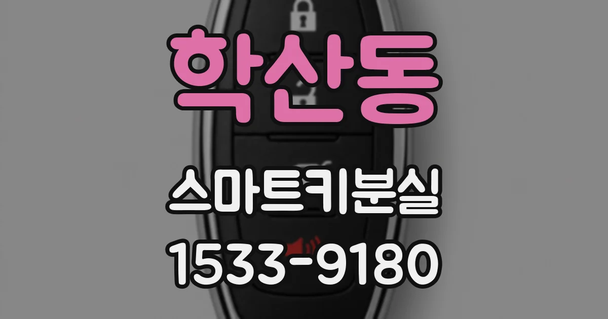 학산동 스마트키분실