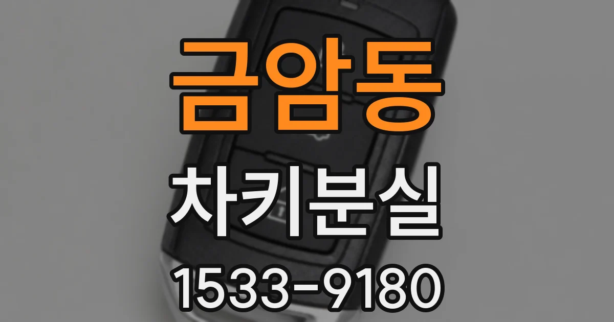금암동 차키분실