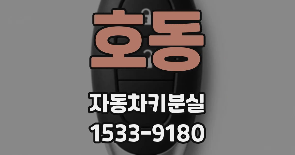 호동 자동차키분실