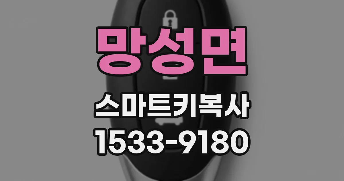 망성면 스마트키복사