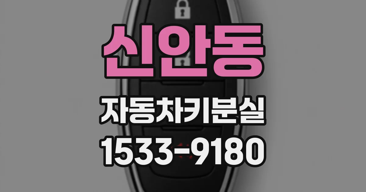 신안동 자동차키분실