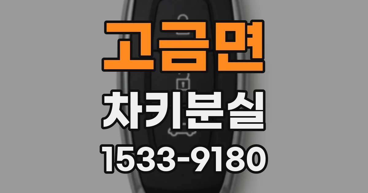 고금면 차키분실