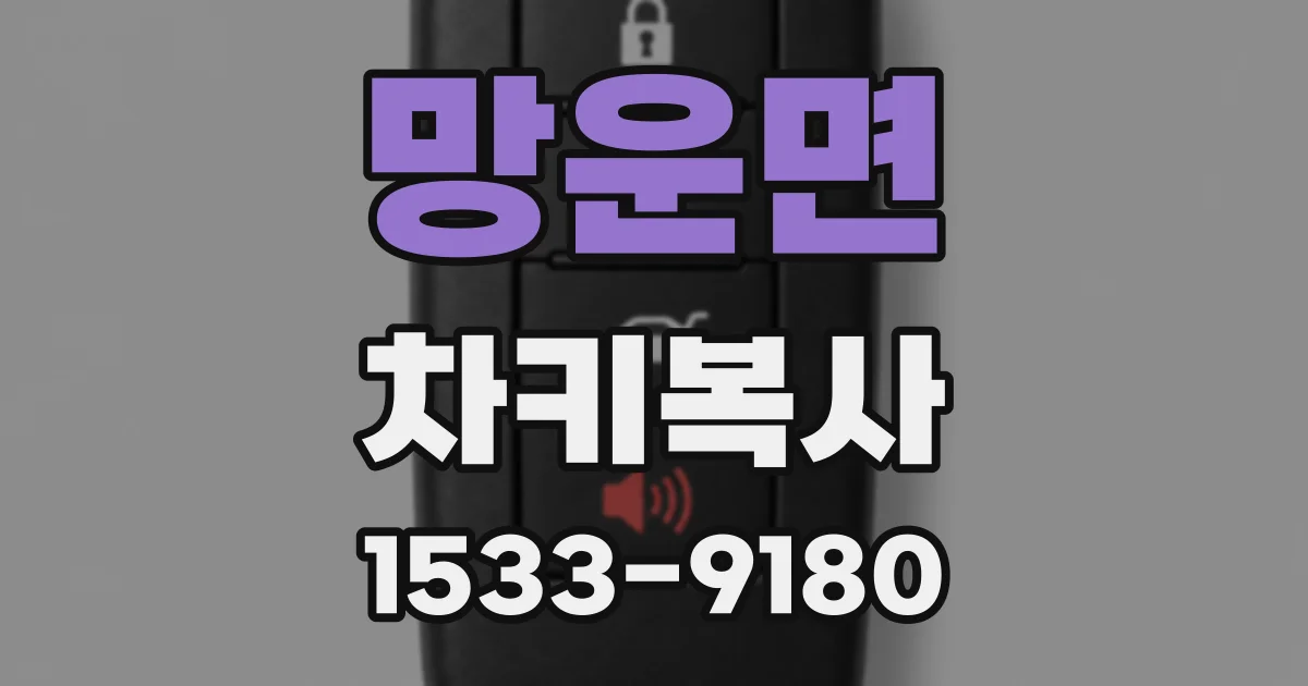 망운면 차키복사