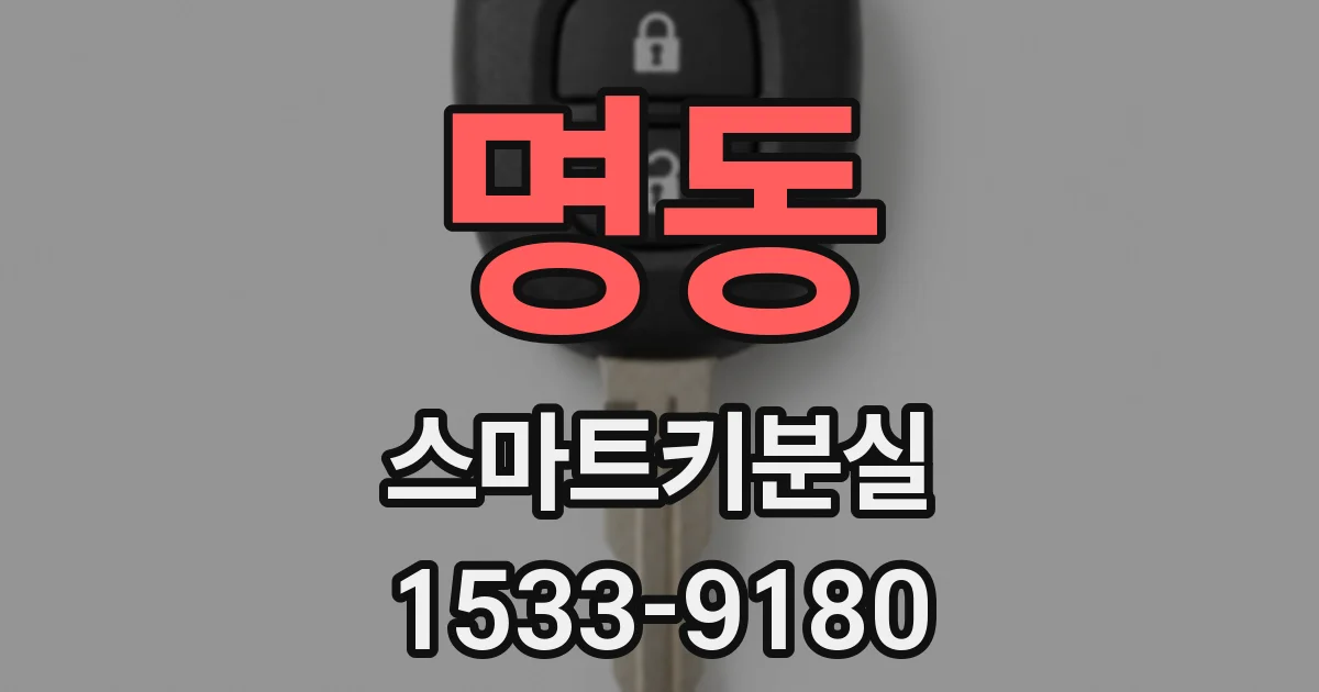 명동 스마트키분실