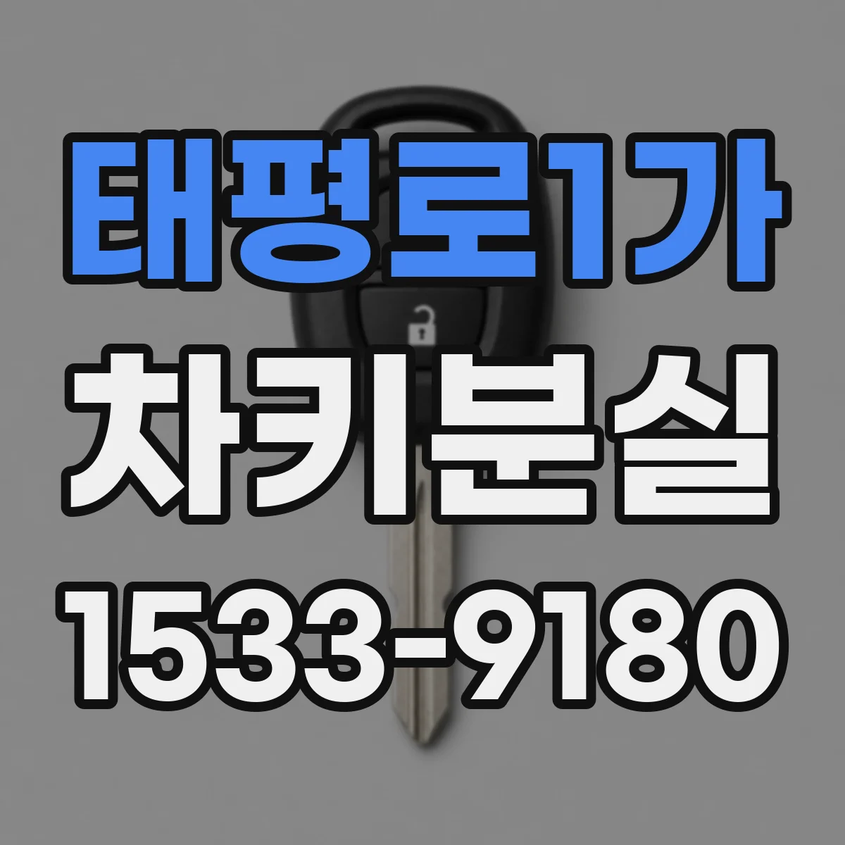 태평로1가 차키분실