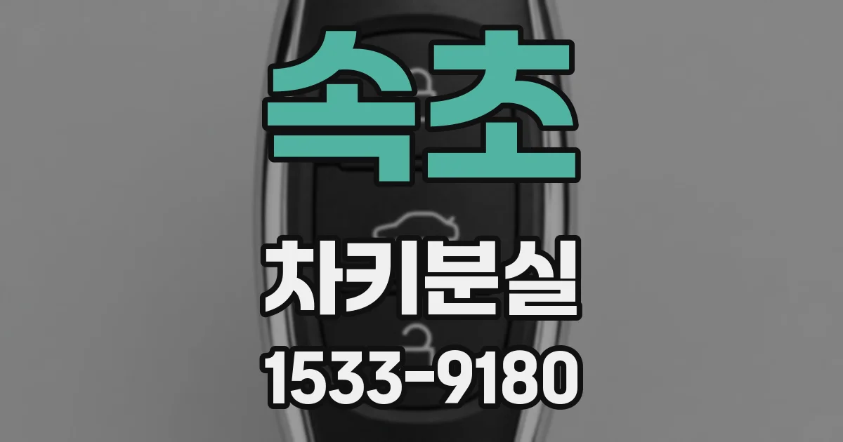 속초 차키분실