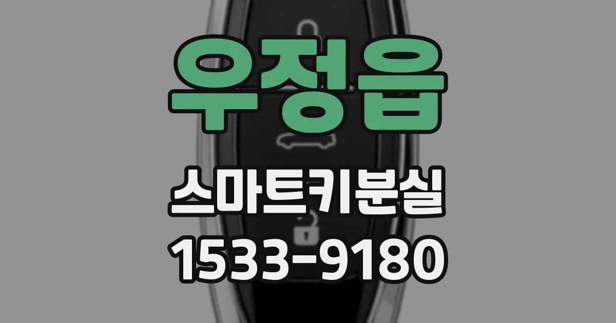 우정읍 스마트키분실