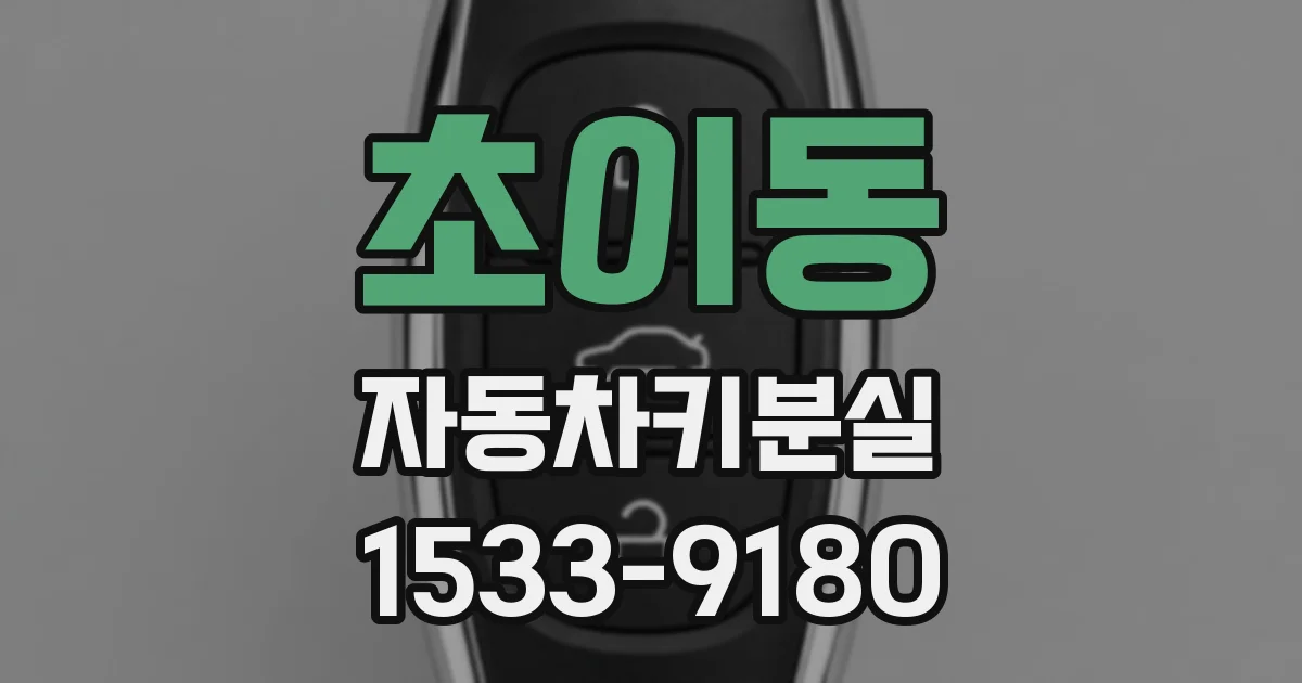 초이동 자동차키분실