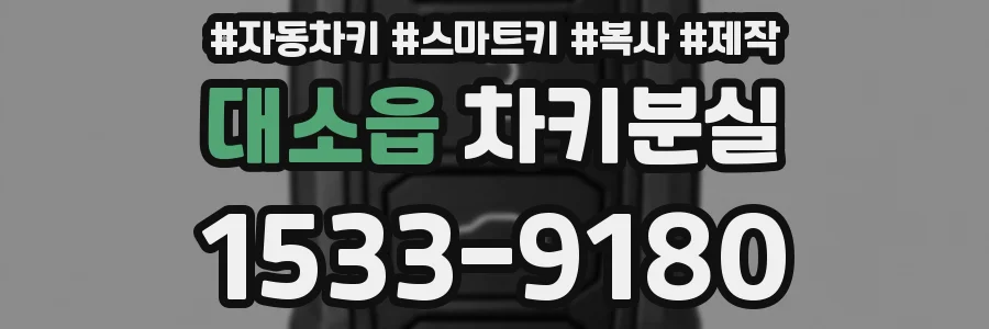 대소읍 차키분실