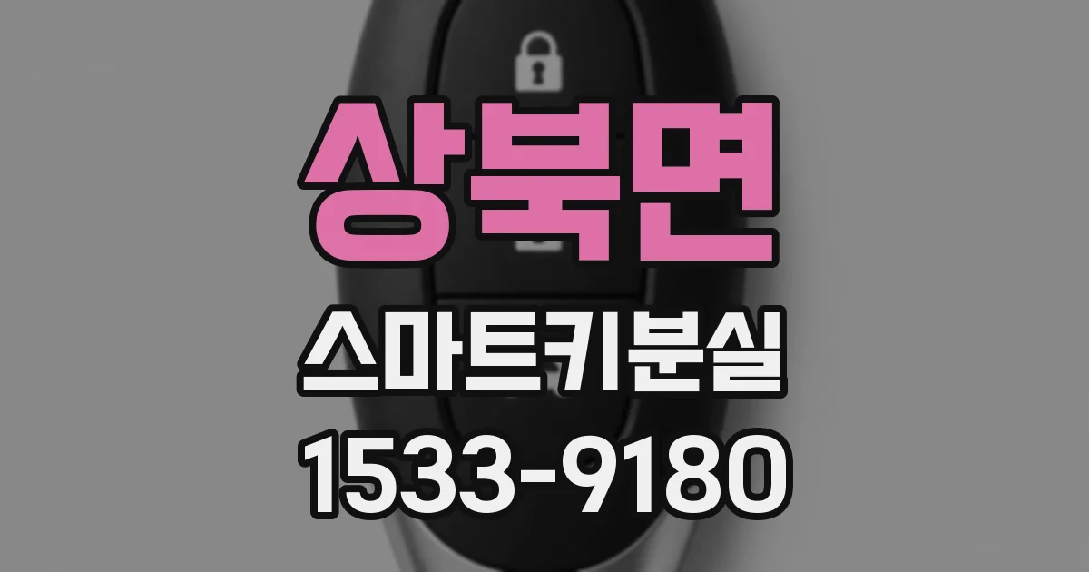상북면 스마트키분실