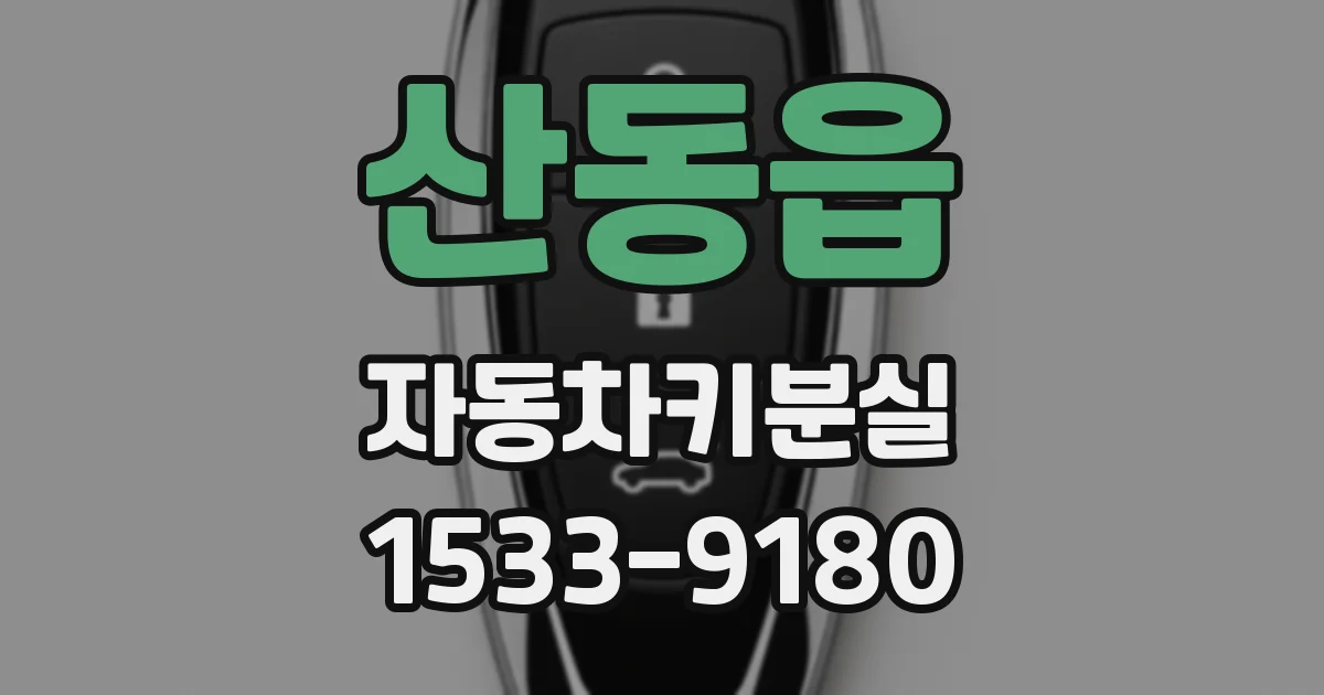 산동읍 자동차키분실