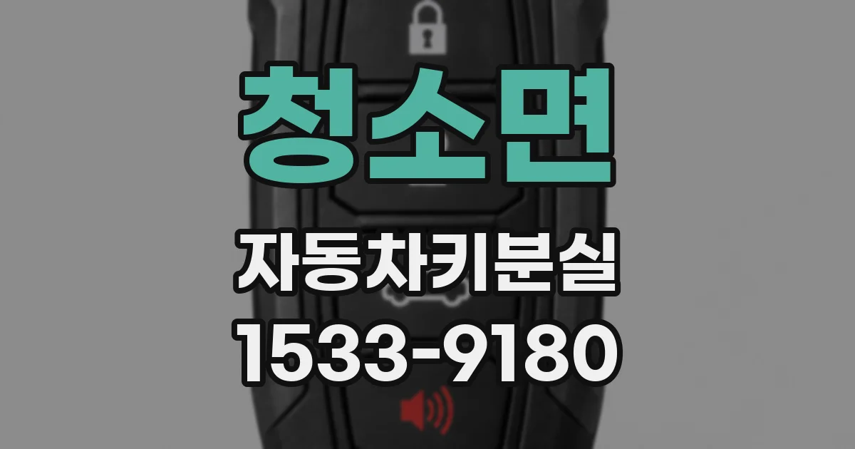 청소면 자동차키분실