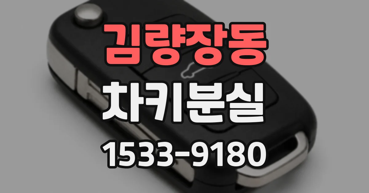 김량장동 차키분실