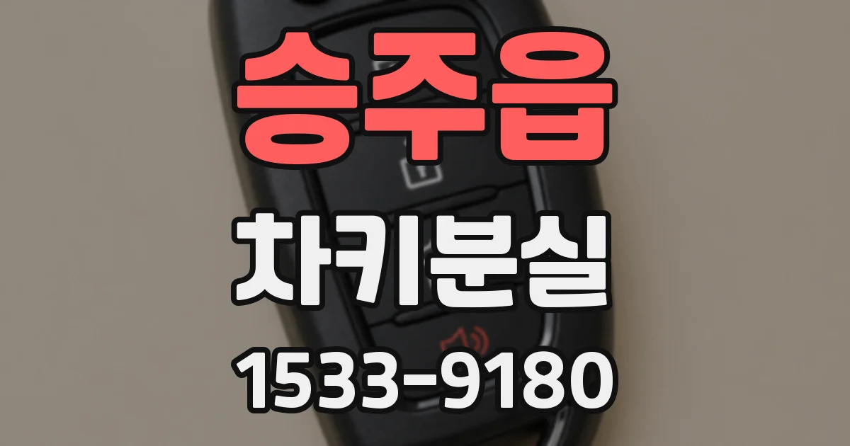 승주읍 차키분실