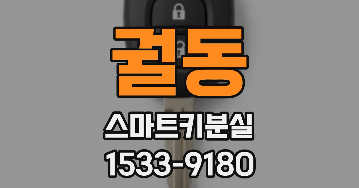 궐동 스마트키분실