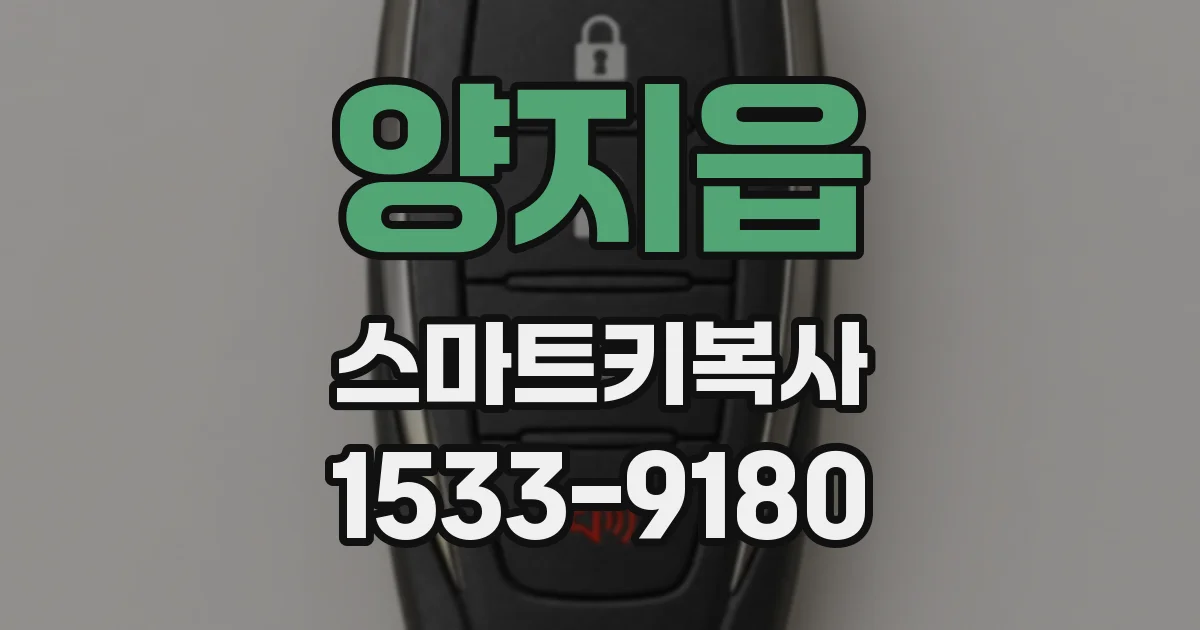 양지읍 스마트키복사