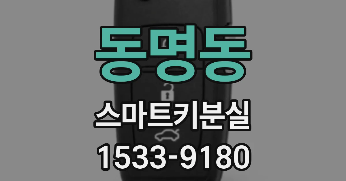동명동 스마트키분실