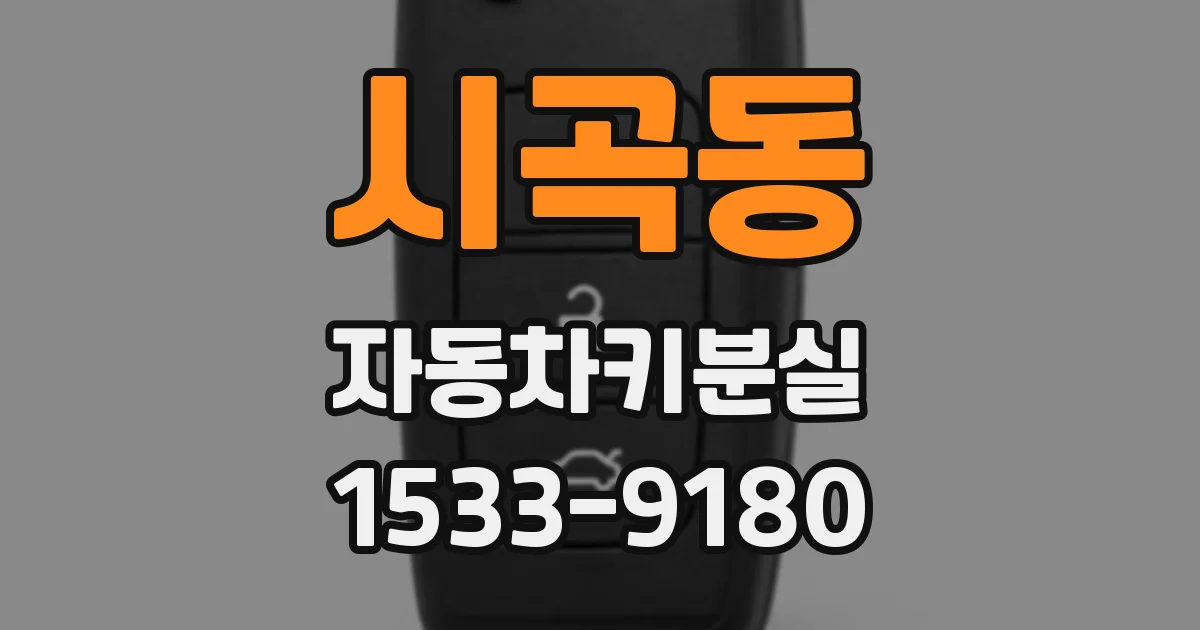시곡동 자동차키분실