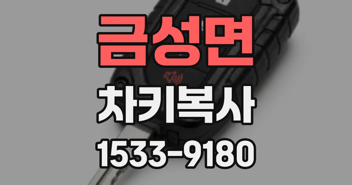 금성면 차키복사