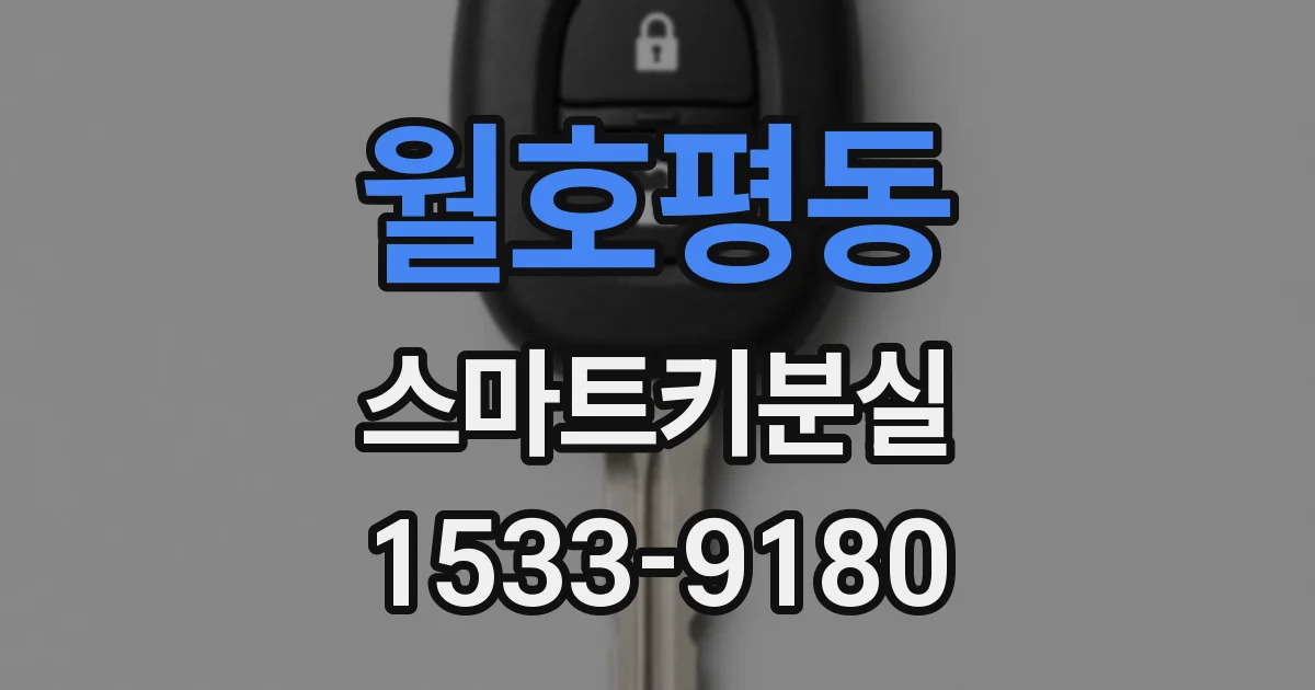 월호평동 스마트키분실