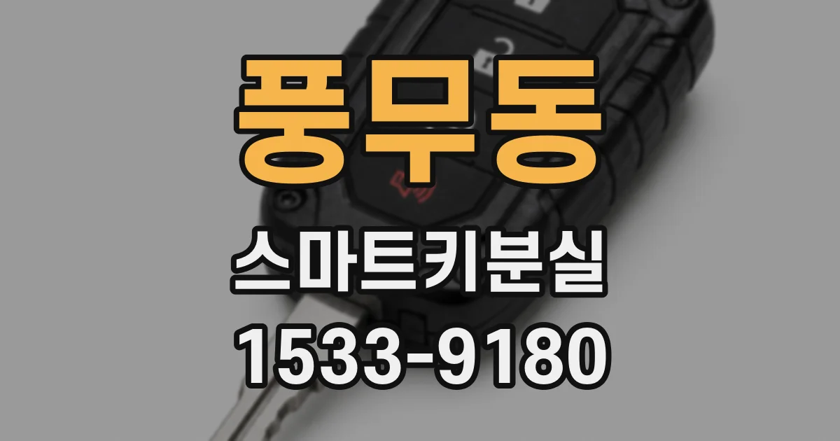 풍무동 스마트키분실