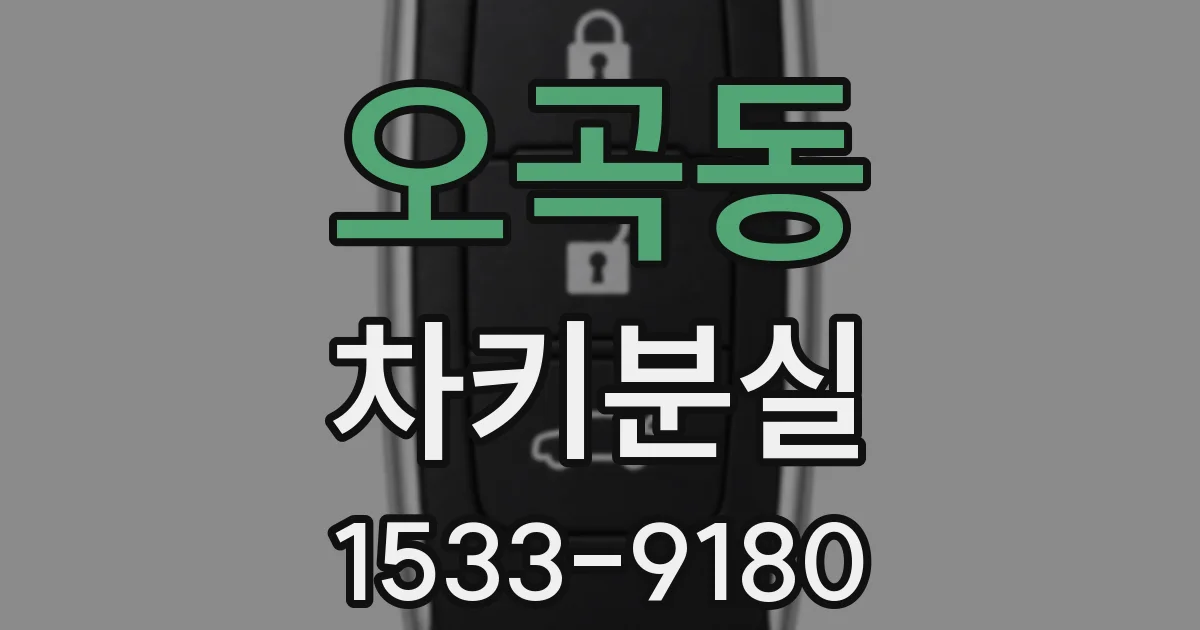 오곡동 차키분실