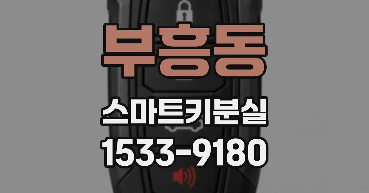 부흥동 스마트키분실