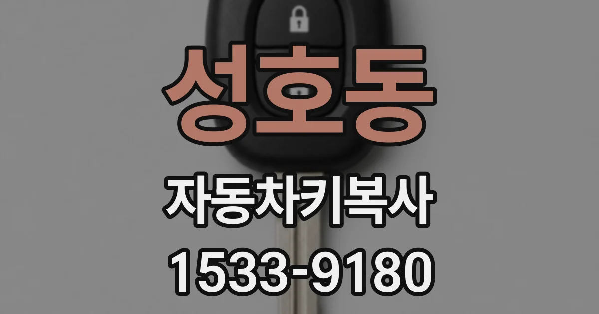 성호동 자동차키복사