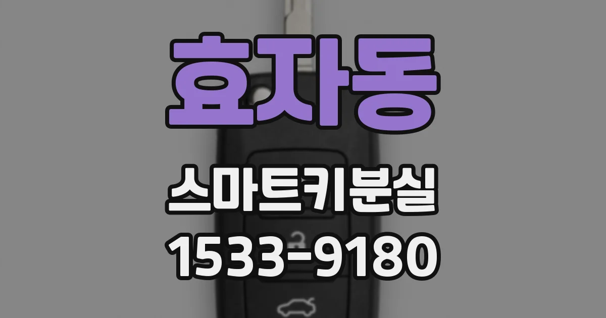 효자동 스마트키분실