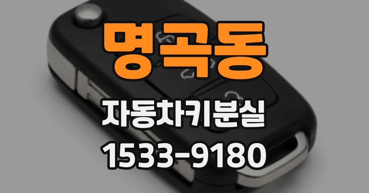 명곡동 자동차키분실