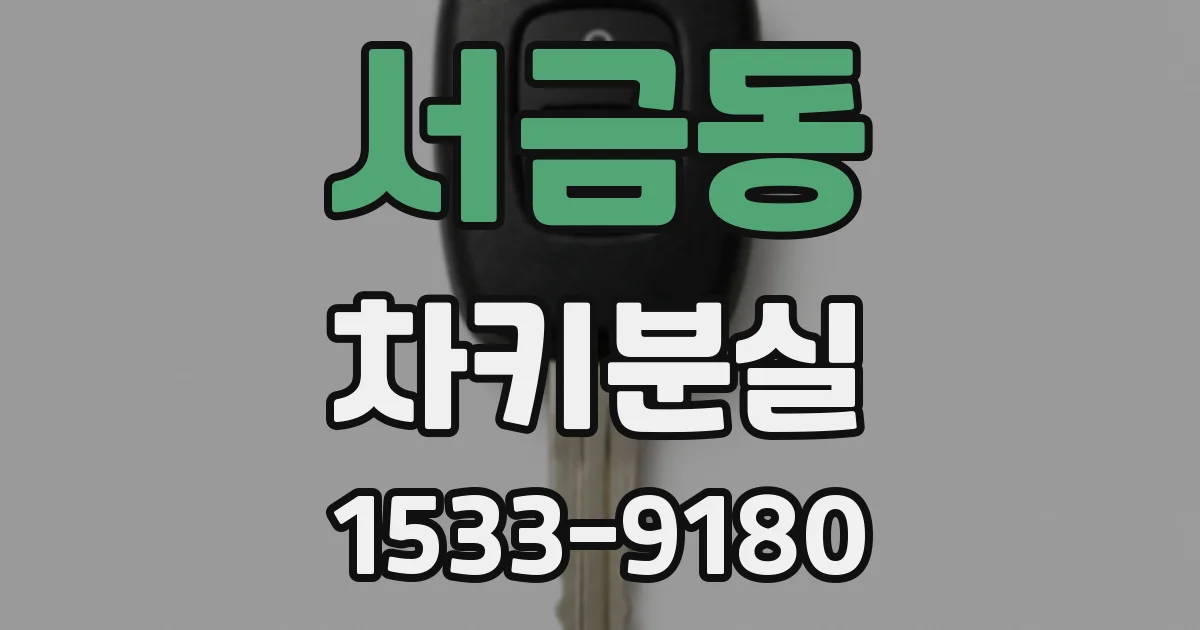 서금동 차키분실