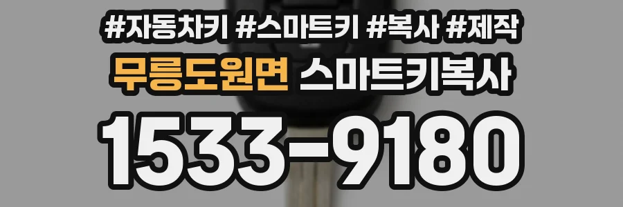 무릉도원면 스마트키복사