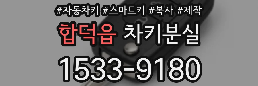 합덕읍 차키분실