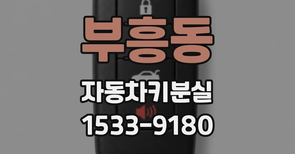 부흥동 자동차키분실