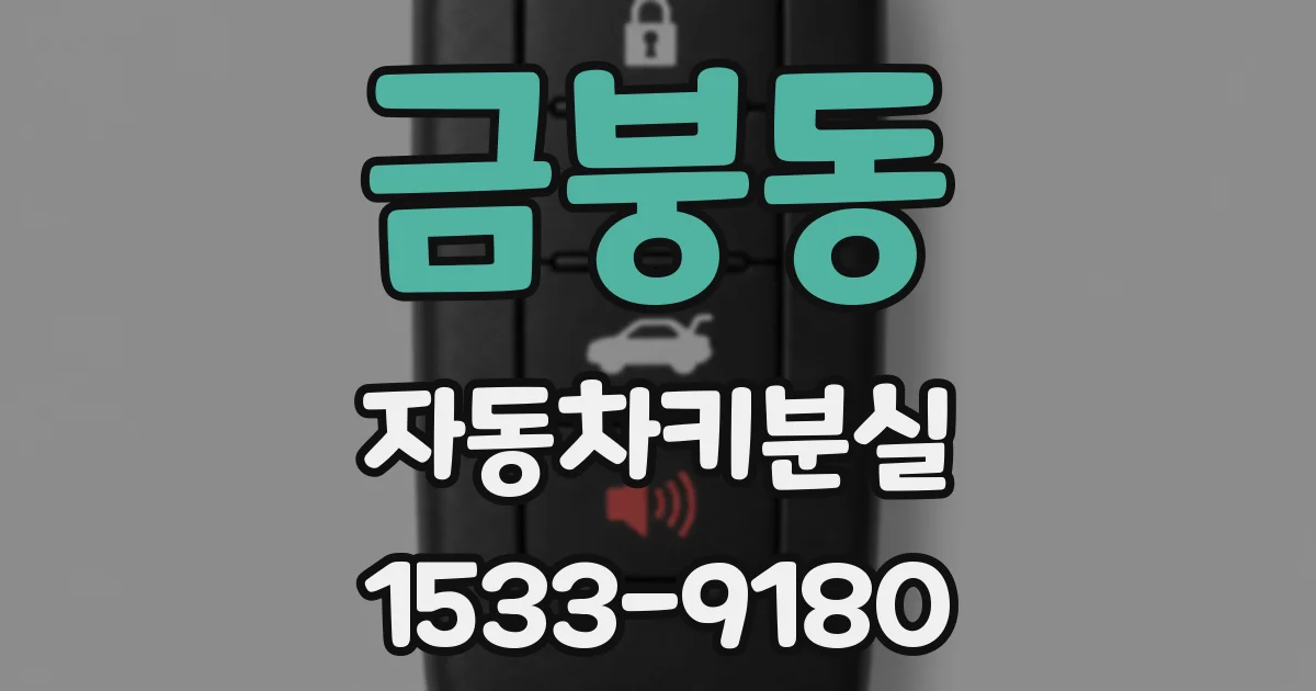 금붕동 자동차키분실