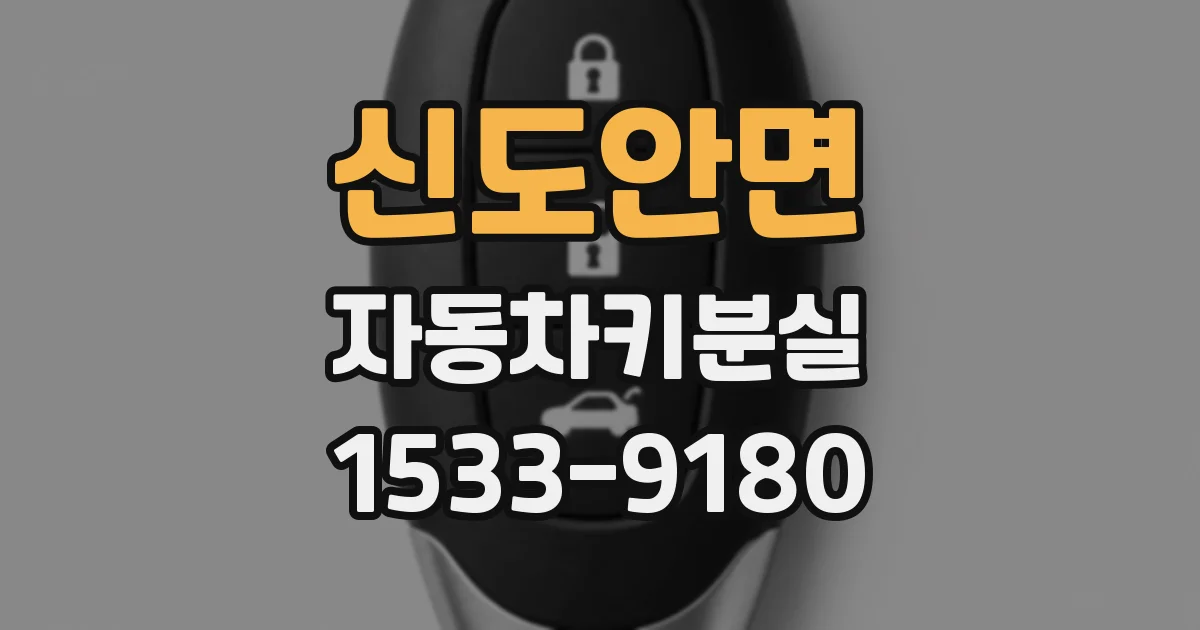 신도안면 자동차키분실
