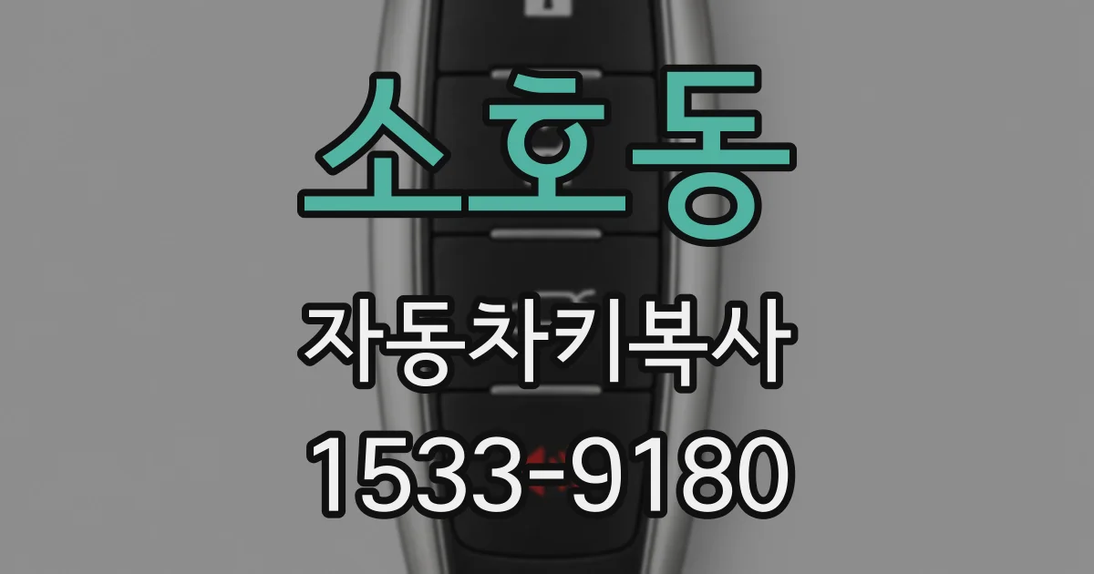 소호동 자동차키복사