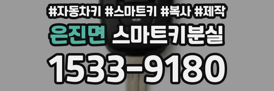 은진면 스마트키분실